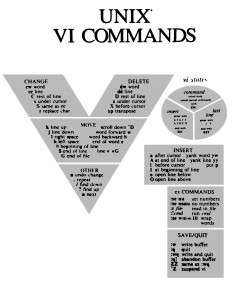 vi_poster4